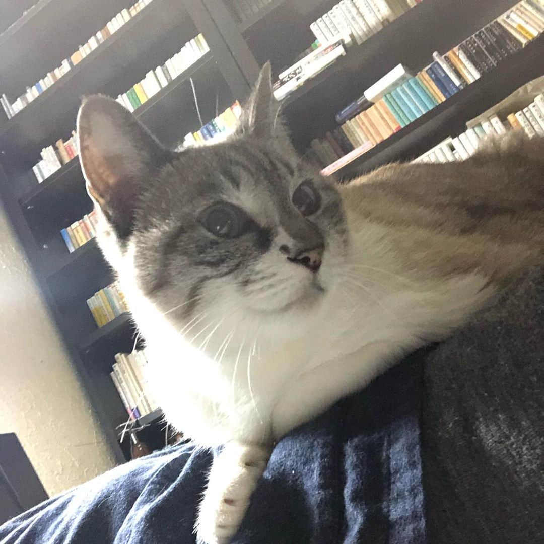 のインスタグラム：「おい。」