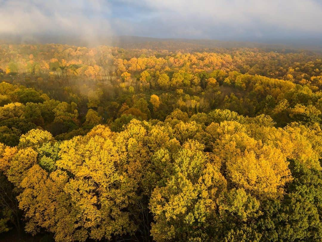 Michael Yamashitaさんのインスタグラム写真 - (Michael YamashitaInstagram)「Though New England gets most of the attention, fall foliage in western New Jersey has reached its peak. Here’s what it looked like yesterday afternoon from the top of the hill in Chester. #fall #fallfoliage #newjersey #chesternj #ilovechesternj」10月23日 8時51分 - yamashitaphoto