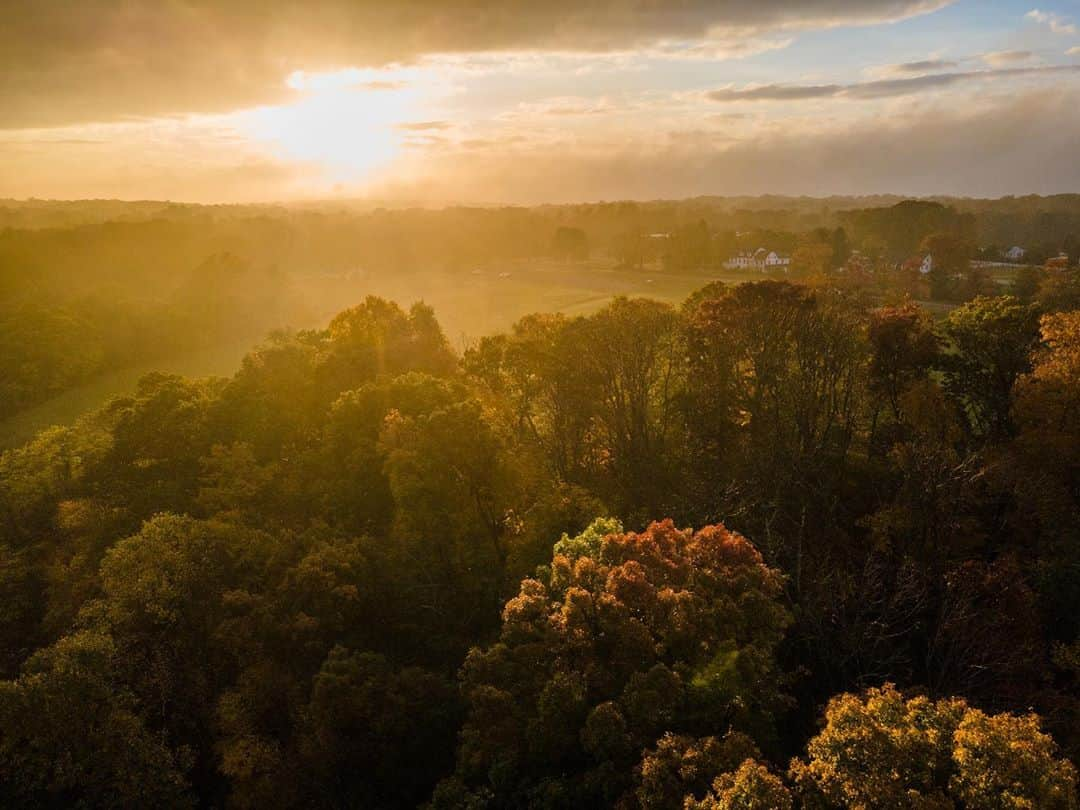 Michael Yamashitaさんのインスタグラム写真 - (Michael YamashitaInstagram)「Though New England gets most of the attention, fall foliage in western New Jersey has reached its peak. Here’s what it looked like yesterday afternoon from the top of the hill in Chester. #fall #fallfoliage #newjersey #chesternj #ilovechesternj」10月23日 8時51分 - yamashitaphoto