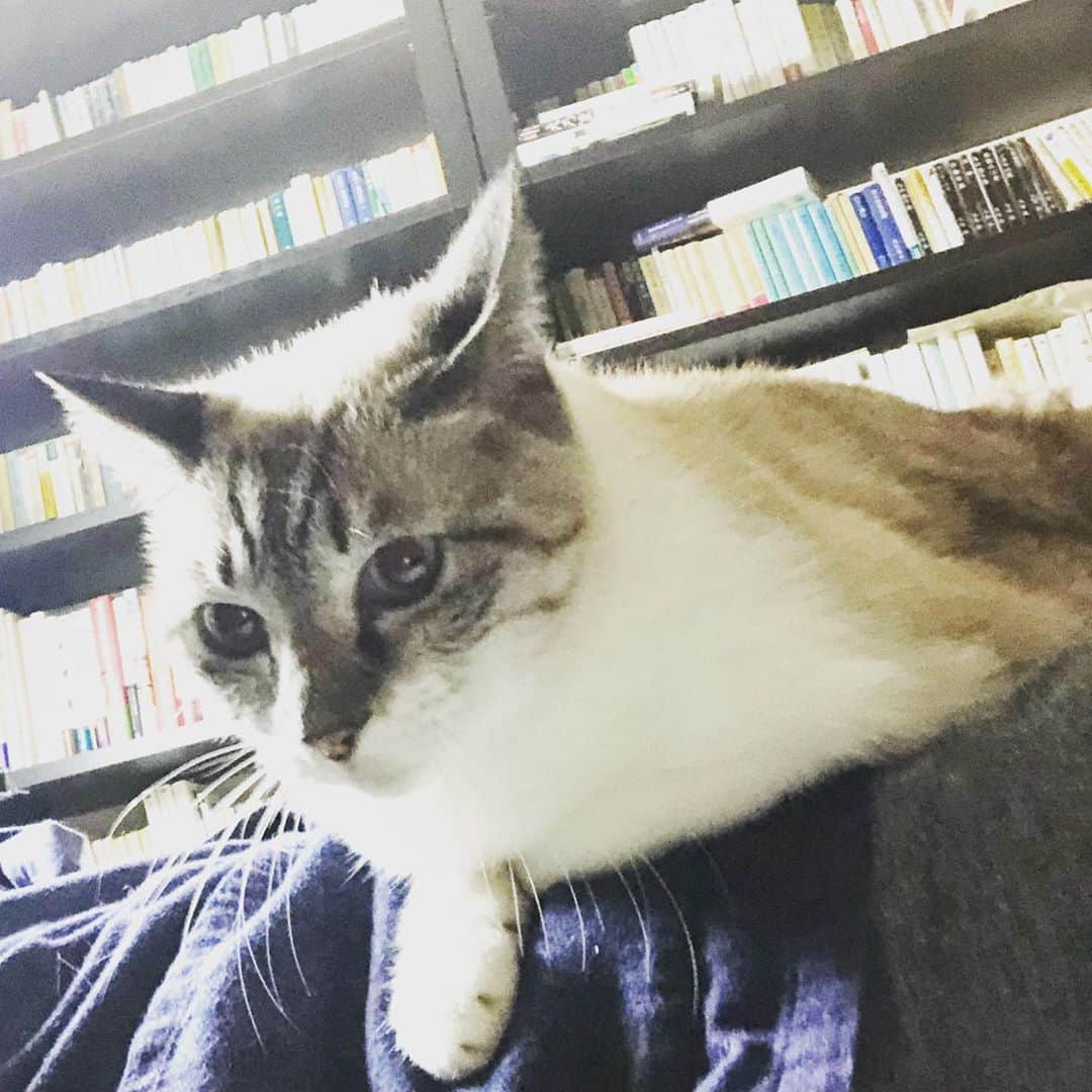 のインスタグラム：「真面目に生きろ。」