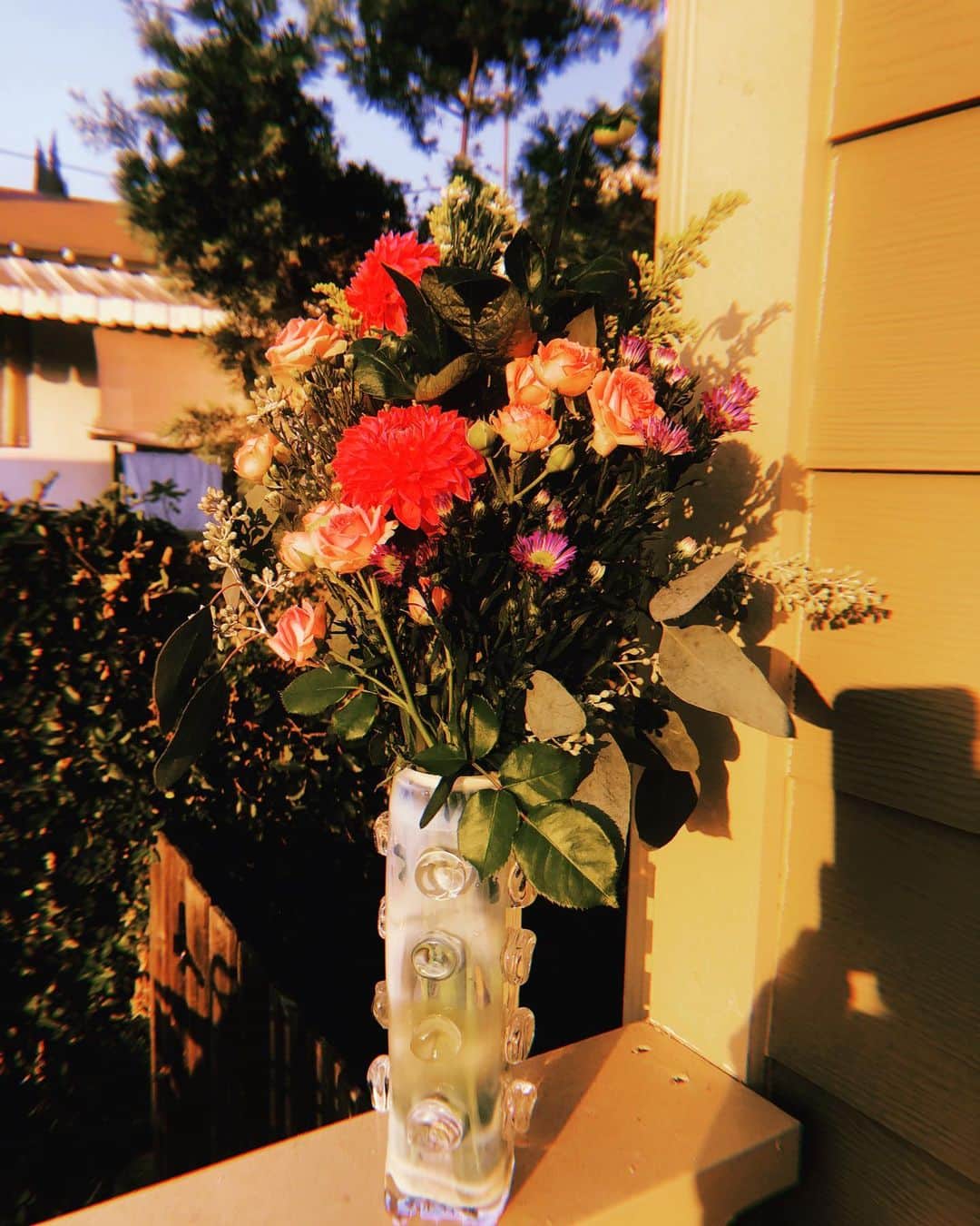 ジュノー・テンプルのインスタグラム：「This exquisite vase brings me such joy, I love fresh flowers and couldn’t think of a more beautiful vessel to place them in 💘 I am so proud of my best friend @alex_zanzinger for designing these hand made one of a kind pieces 💐」