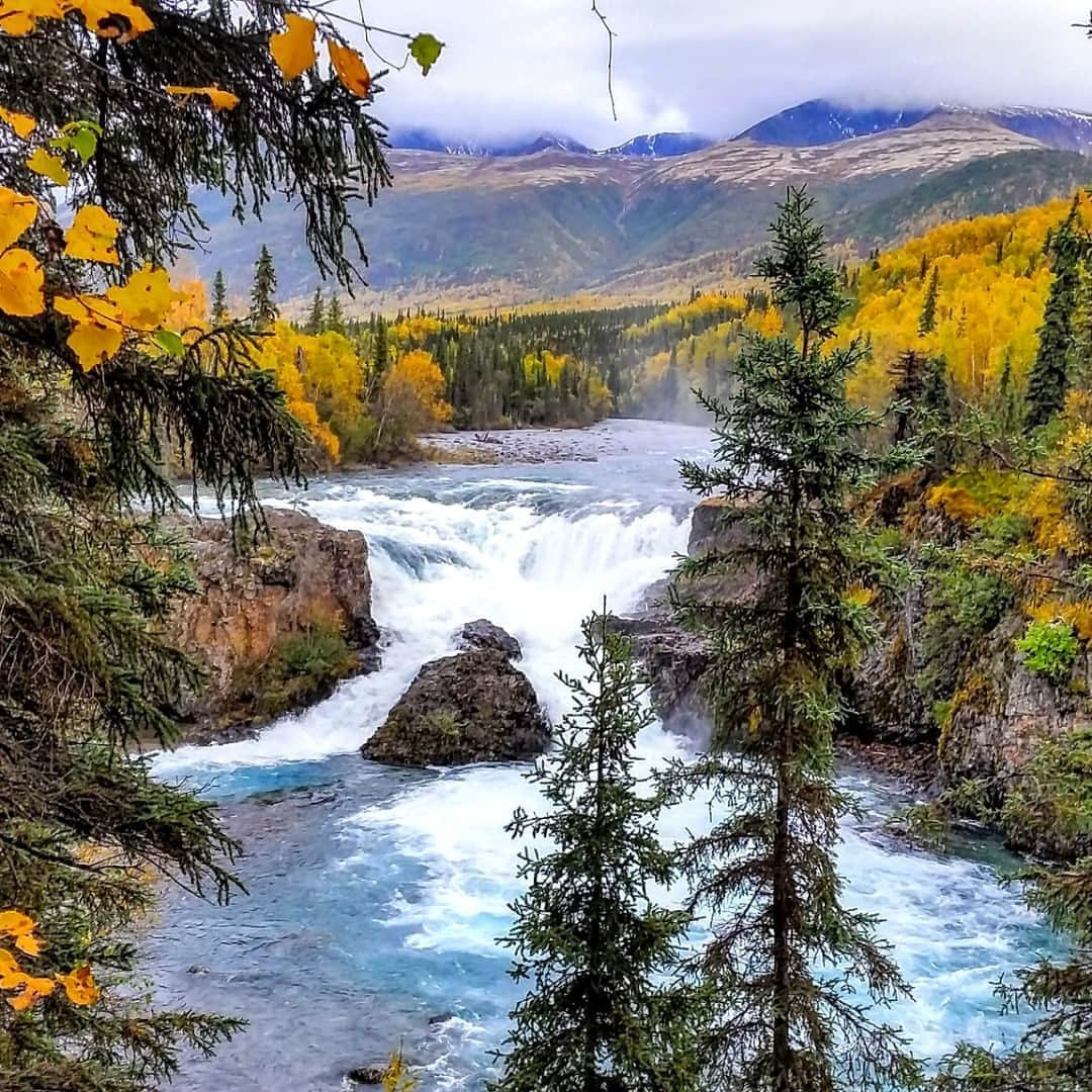 アメリカ内務省さんのインスタグラム写真 - (アメリカ内務省Instagram)「Lake Clark National Park & Preserve in #Alaska is a marvelous land where volcanoes steam, salmon run, bears forage, craggy mountains reflect in shimmering turquoise lakes, and local people and culture still depend on the land and water of their home. Solitude is found around every bend in the river and shoulder of a mountain. Venture into the park to become part of the wilderness. It's hard to imagine anything more gorgeous than the Tanalian Falls in autumn. Photo @LakeClarkNPS by J. Mills, #NationalPark Service. #LakeClark #usinterior」10月23日 9時20分 - usinterior