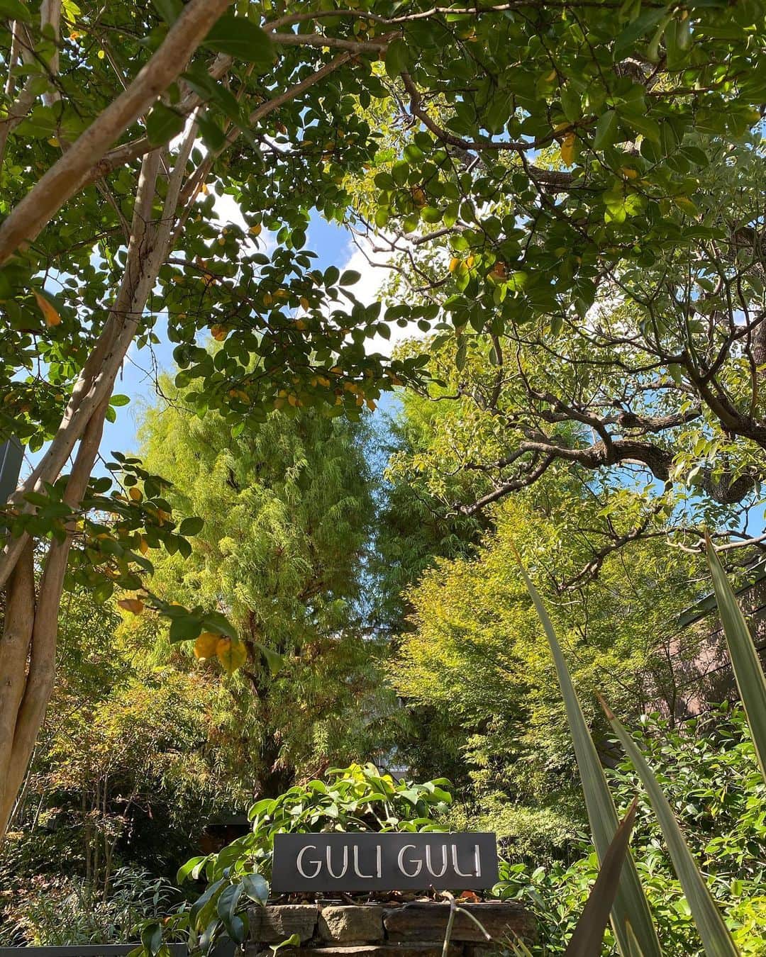 西川忠志のグルメインスタ