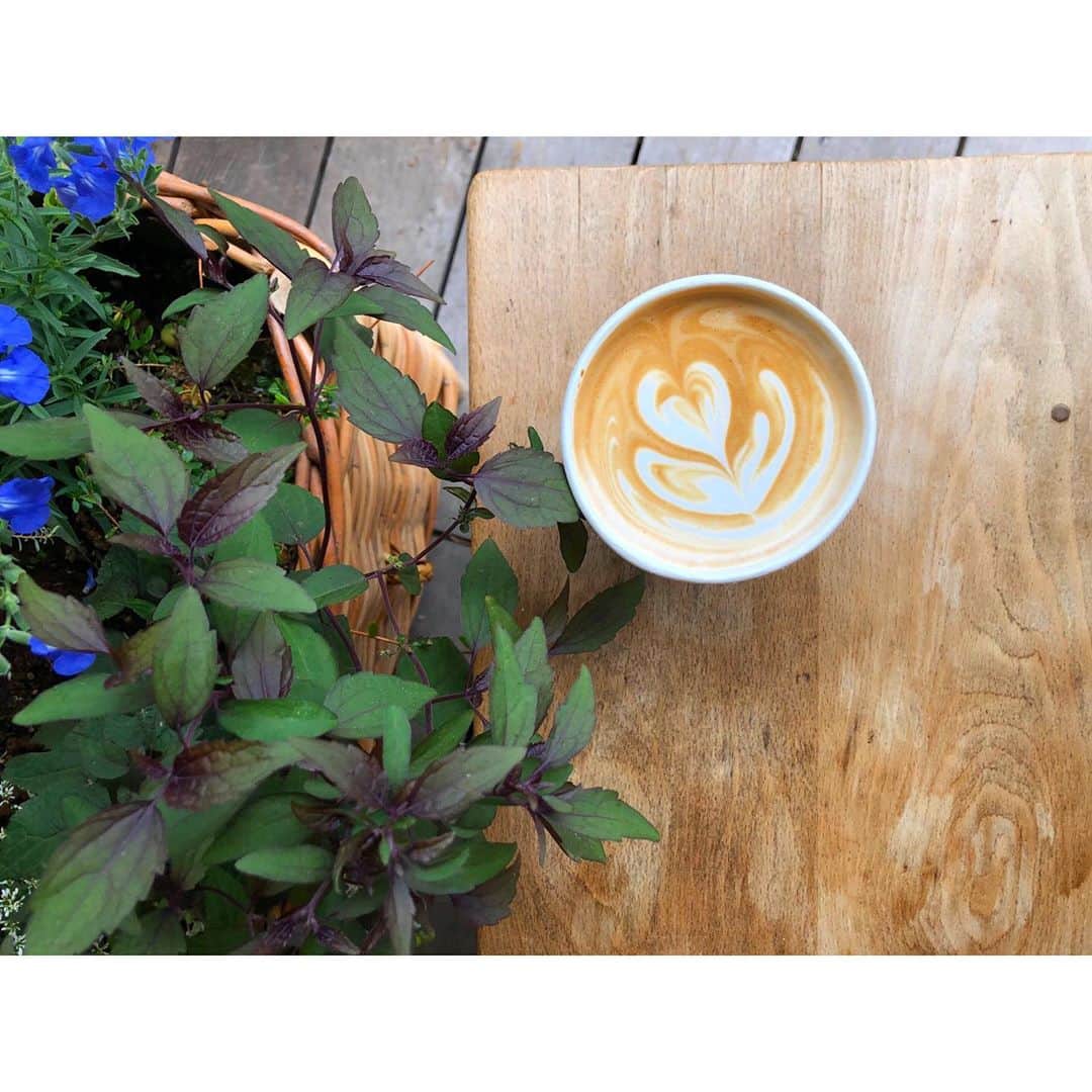 TRICHROMATIC COFFEEのグルメインスタ