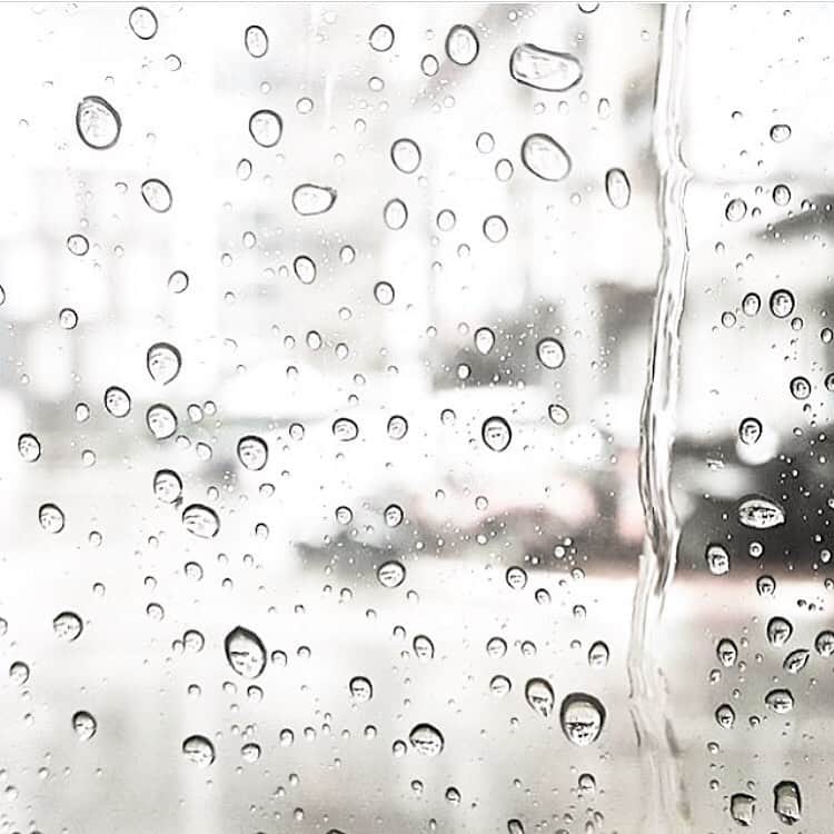 のインスタグラム：「________ #happyfriday ✔️ . 明日からずーっと晴れ予報❤︎ . . #autumnrain #haveaniceweekend  .」