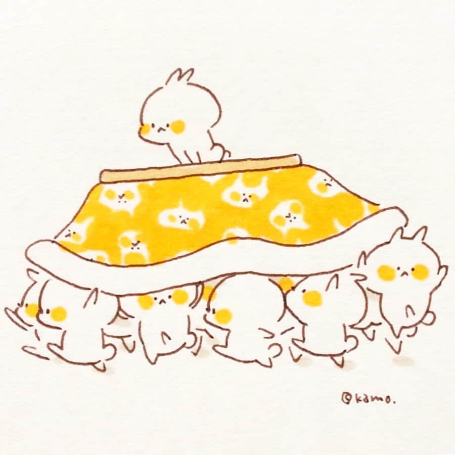 カモのインスタグラム