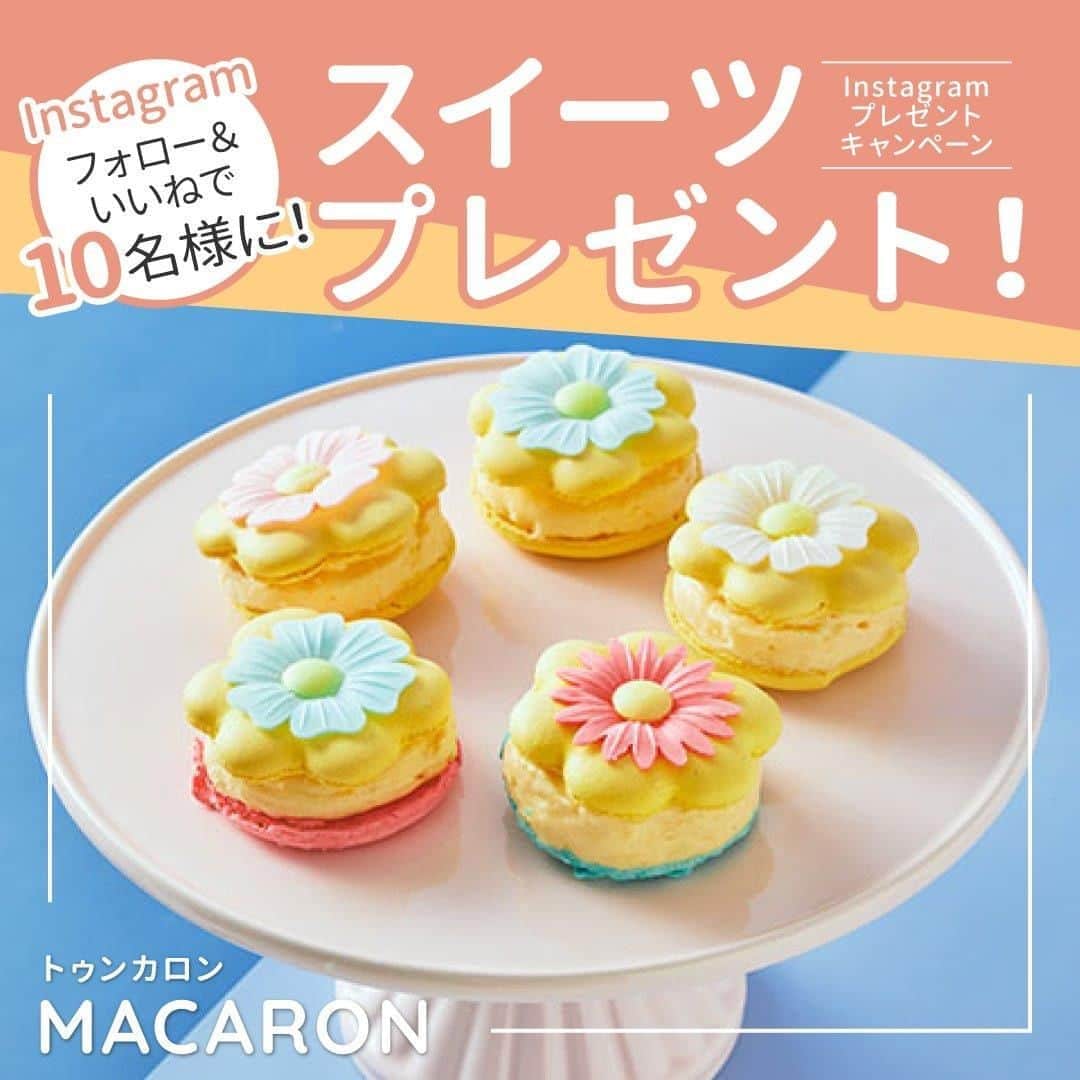 Cake.jpのインスタグラム
