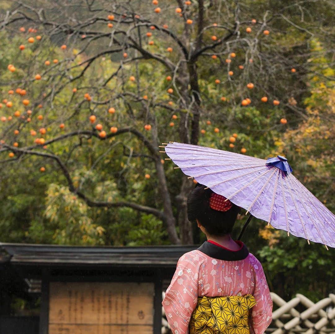 江戸ワンダーランド 日光江戸村のインスタグラム：「・ 秋雨  Autumn rain☔️ 柿食えば…  If you eat persimmon ... ・ ・ #edo #gototravel #秋の江戸 #秋雨 #いざ江戸へドロン  #edowonderland #江戸ワンダーランド日光江戸村」