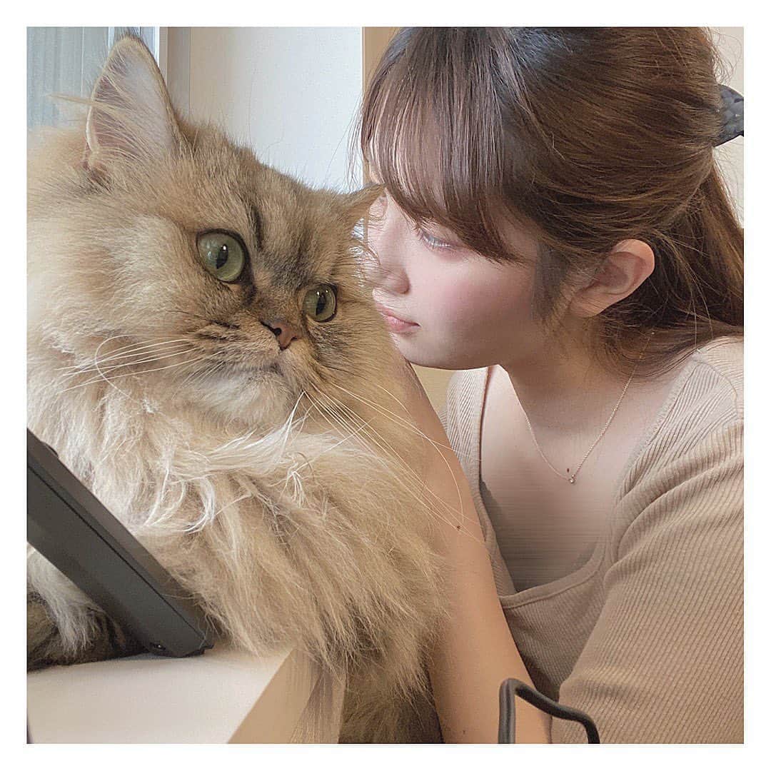 森杏奈のインスタグラム