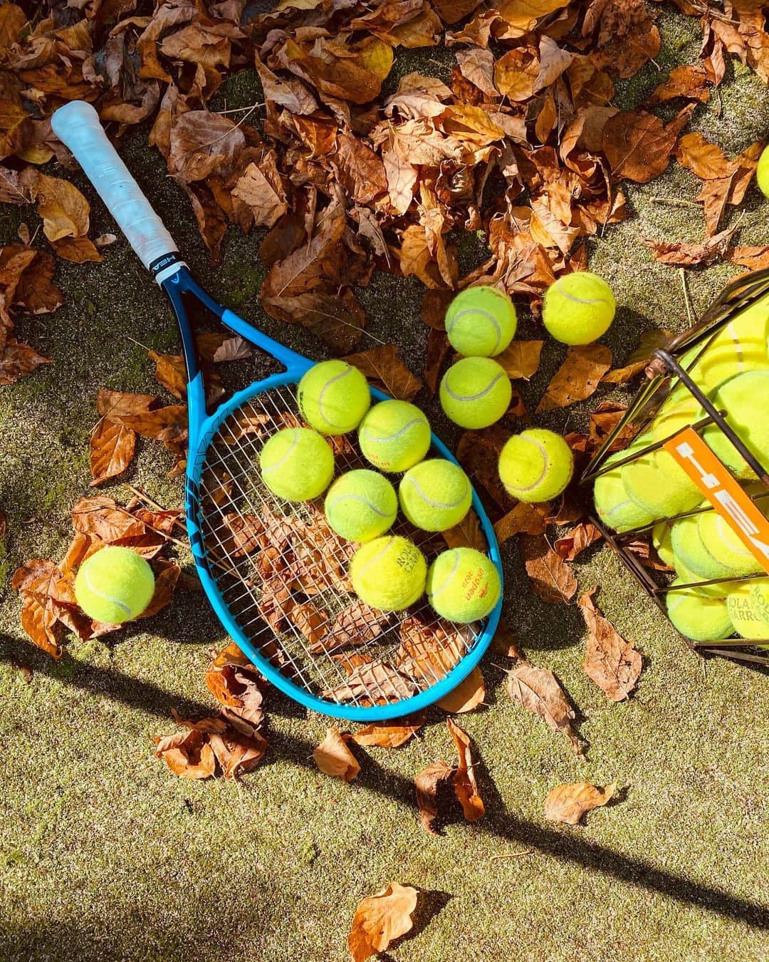 ツベタナ・ピロンコバさんのインスタグラム写真 - (ツベタナ・ピロンコバInstagram)「Practice in fall... 🍂🍁✨🤎🧡💛🦔🍄 #tennis #love」10月23日 21時11分 - tpironkova