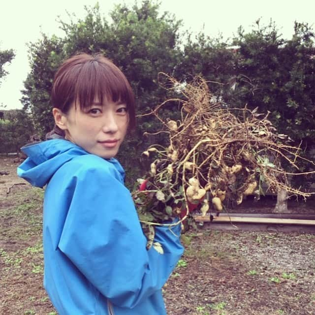 甲斐麻美のインスタグラム