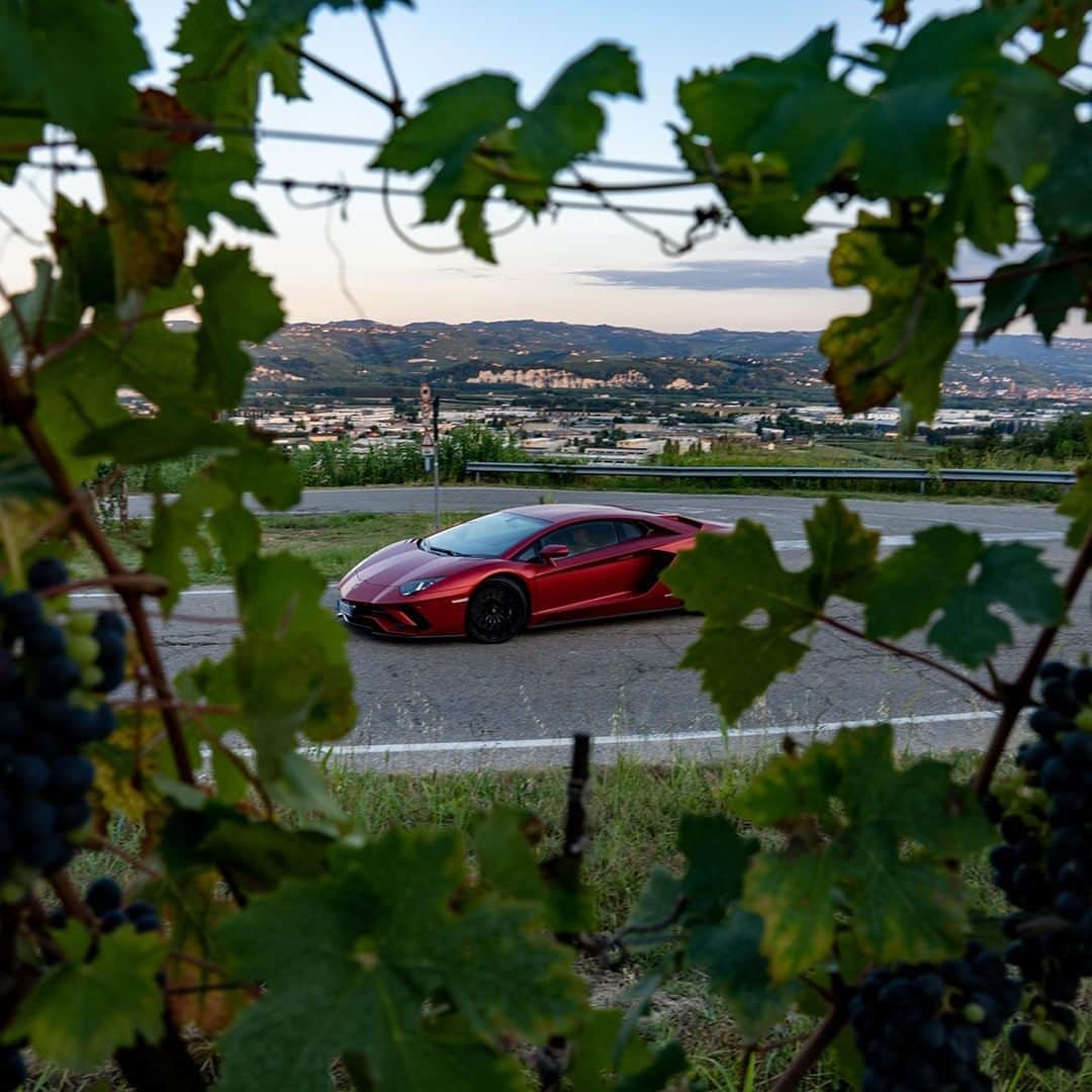 ランボルギーニさんのインスタグラム写真 - (ランボルギーニInstagram)「Magnificence, in any direction the eye can go. Lamborghini lover, can you guess the color on this spectacular Aventador S? Is it Rosso Pyra or Rosso Leto?  #Lamborghini #AventadorS #GuessTheColor」10月23日 21時30分 - lamborghini