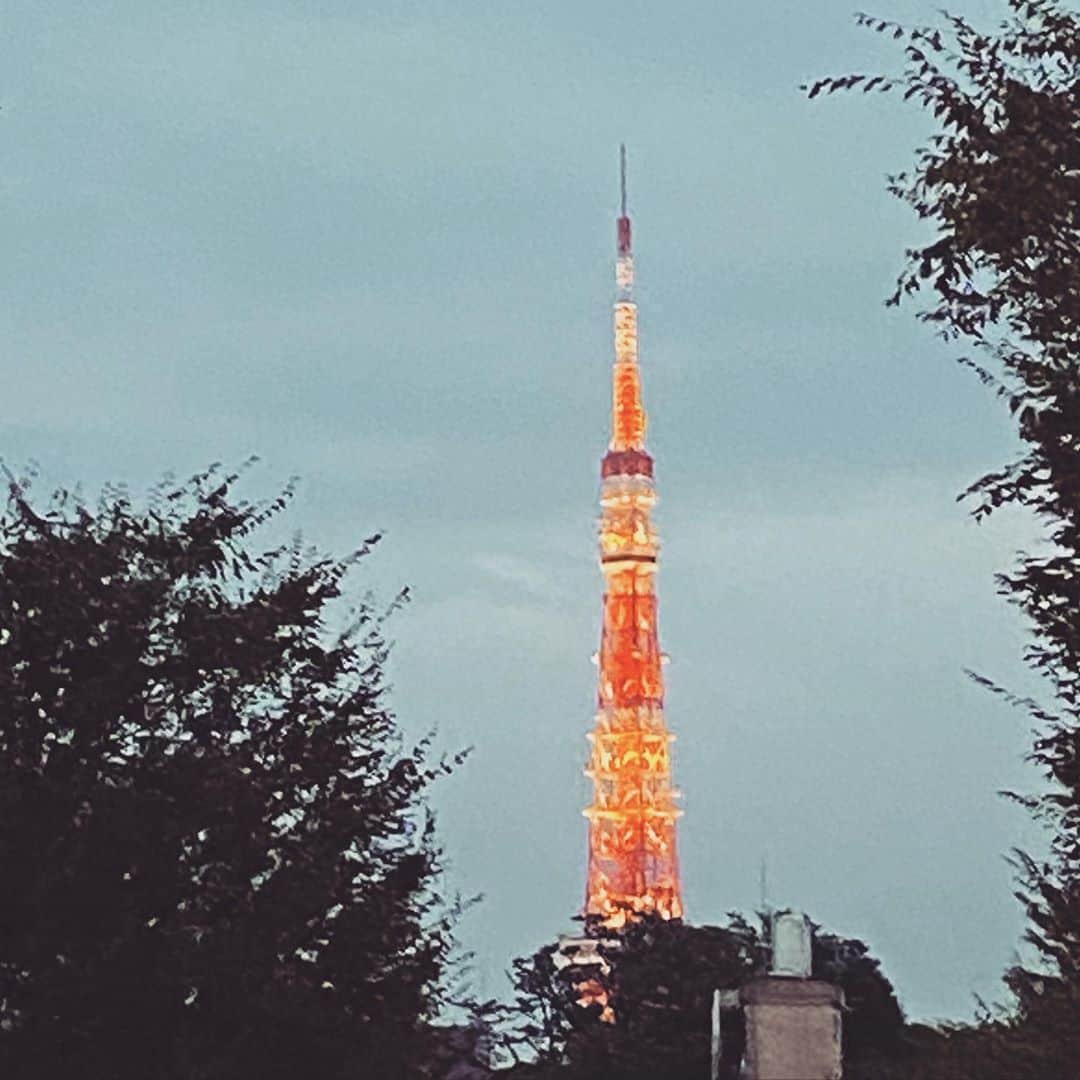 板谷由夏 さんのインスタグラム写真 - (板谷由夏 Instagram)「東京タワー ハロー、どうよ、最近 うん、まあまあかな たまに言われる。自由でいいね。 たまに言う。普遍って素晴らしいね。」10月23日 21時38分 - yukaitaya