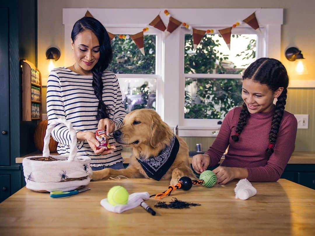 HGTVさんのインスタグラム写真 - (HGTVInstagram)「Celebrate Howl-o-ween with a DIY boo basket for your favorite pup. 🎃 🐕 Learn how to make this Halloween dog treat at our #LinkInBio 🔝 #HowToHalloween」10月23日 22時01分 - hgtv