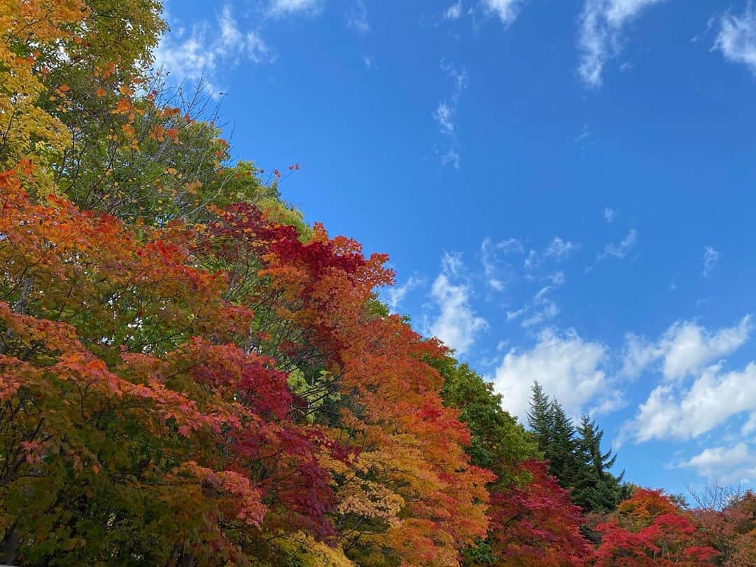 波瑠さんのインスタグラム写真 - (波瑠Instagram)「短い出張で北海道に行きました。 もう紅葉がきれいに色づいていました。 息してるだけで心地良い、そんな景色でした。 ホテルローヤル　11月13日公開です。」10月23日 21時59分 - 06_haru_17