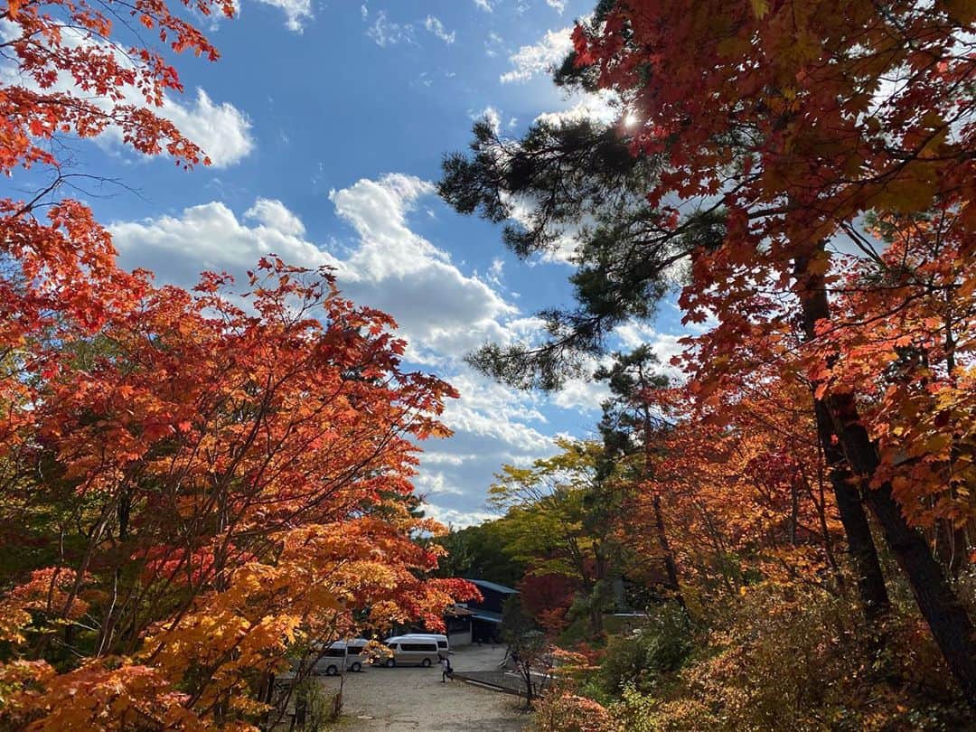 波瑠のインスタグラム：「短い出張で北海道に行きました。 もう紅葉がきれいに色づいていました。 息してるだけで心地良い、そんな景色でした。 ホテルローヤル　11月13日公開です。」