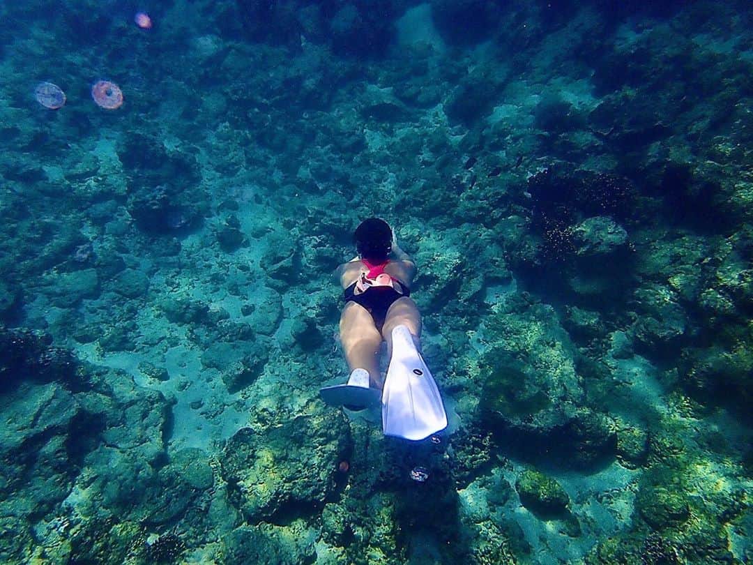 のインスタグラム：「海の中は究極のオフライン。誰とも繋がらずに新たな惑星に放り込まれる感覚。 #海 #素潜り #惑星」