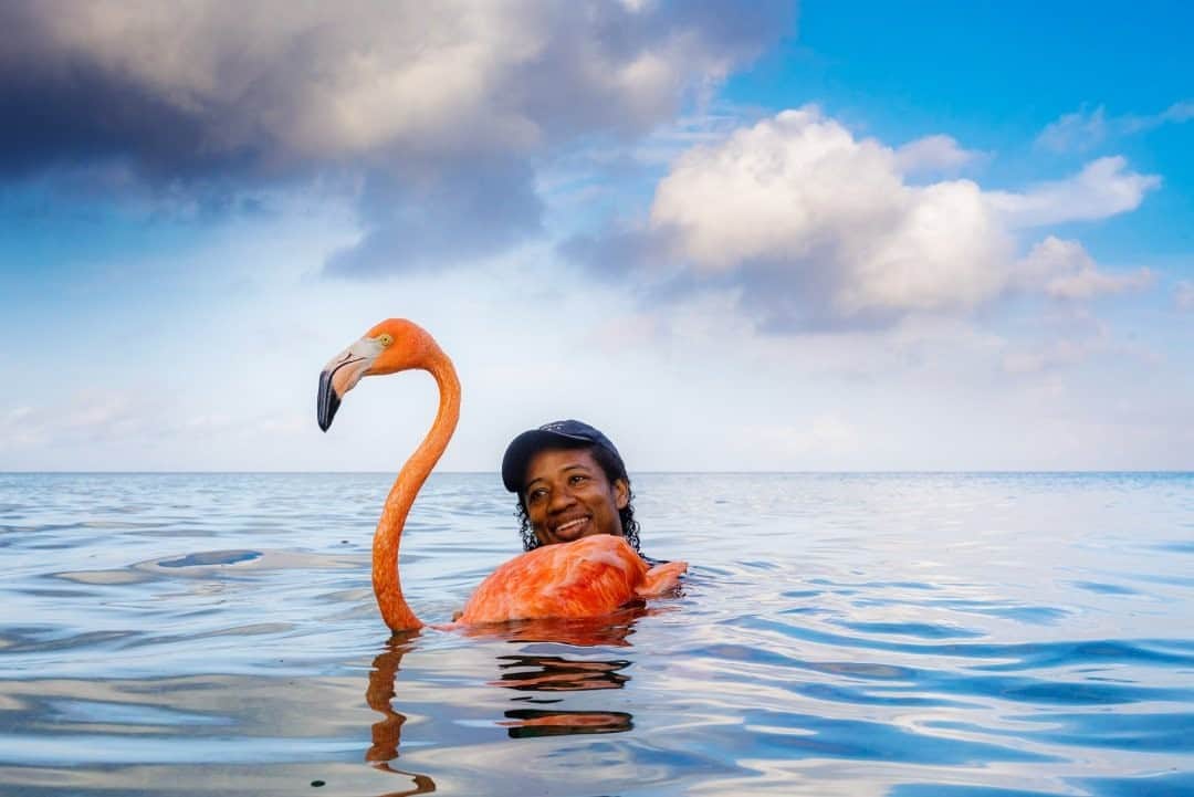 ナショナルジオグラフィックさんのインスタグラム写真 - (ナショナルジオグラフィックInstagram)「Photo by @jasperdoest / My cousin Odette and Flamingo Bob, as he's known, enjoy an early morning swim—and so did I during a visit to Curaçao last year. At the beach, I looked back at this odd couple, still bobbing at sea. They live a remarkable life together, although to them it’s just daily life. To me, their story (she's a veterinarian, he's a rescue bird) is an intimate love story about how two individuals that depend on each other can initiate positive change by educating future generations. Follow @jasperdoest to learn more about Flamingo Bob. #flamingobob #meetbob #flamingo #birdrescue #animalambassador  Check out Nat Geo's link in bio for more on this story.」10月23日 15時39分 - natgeo