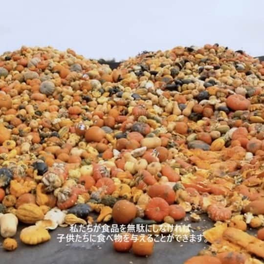 Dole_jp ドール ジャパンのインスタグラム：「【明るい世界のために、ドールが守る約束】  私たちは、地球に相応しい住人になるべきです。 子供たちのために。  このため、ドールはフルーツ廃棄ゼロを約束します。  詳しくは、プロフィール欄にあるリンクをご覧ください。」