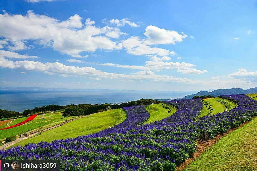 兵庫県のインスタグラム