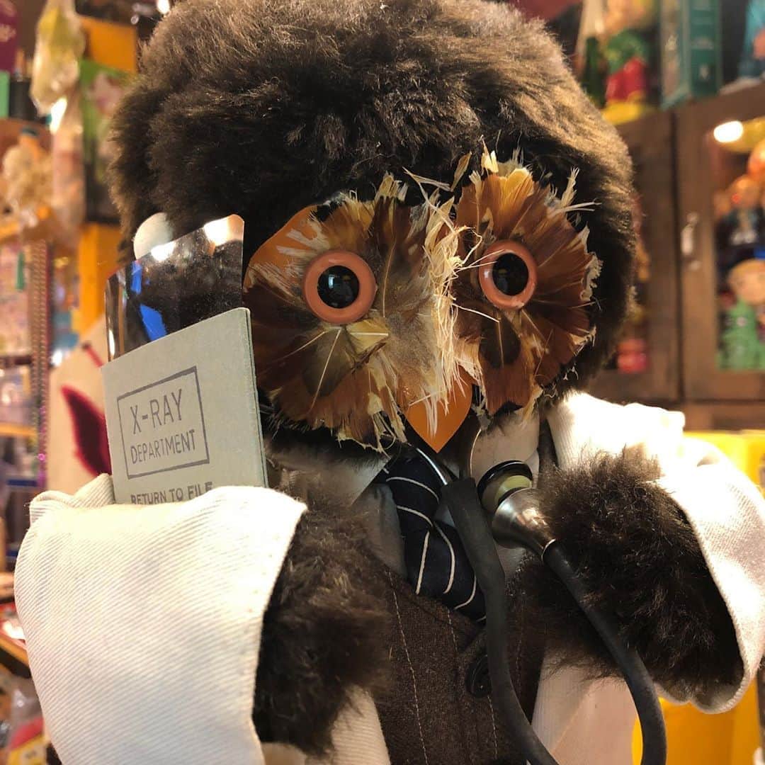 kiarrysさんのインスタグラム写真 - (kiarrysInstagram)「Doctor  Owl Doll 19800yen  web shop in store now.」10月23日 16時07分 - kiarrys