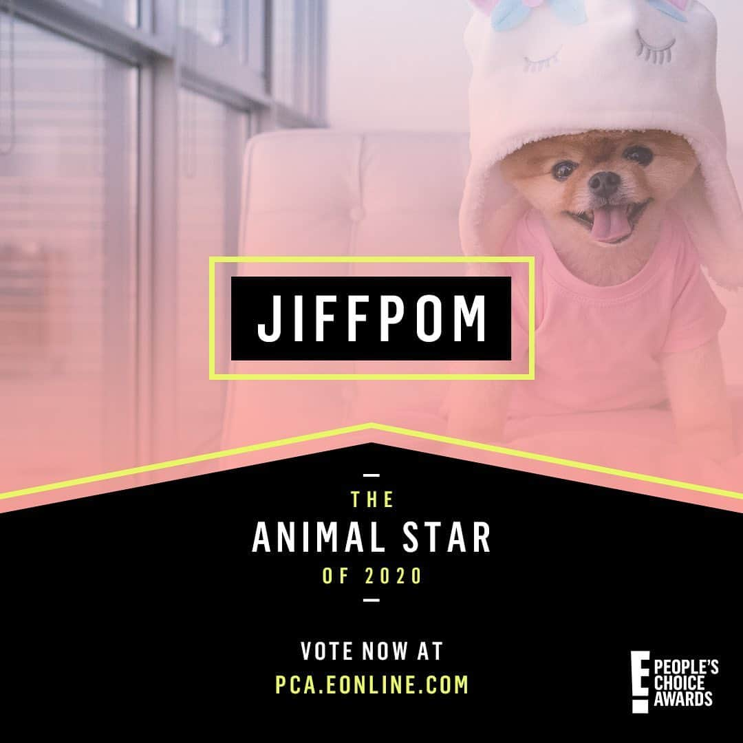 jiffさんのインスタグラム写真 - (jiffInstagram)「Thanks for all your votes and support for my People’s Choice nomination.  I LOVE YOU SO MUCH!!! 💜@peopleschoice #PCAs ✨✨」10月23日 16時10分 - jiffpom