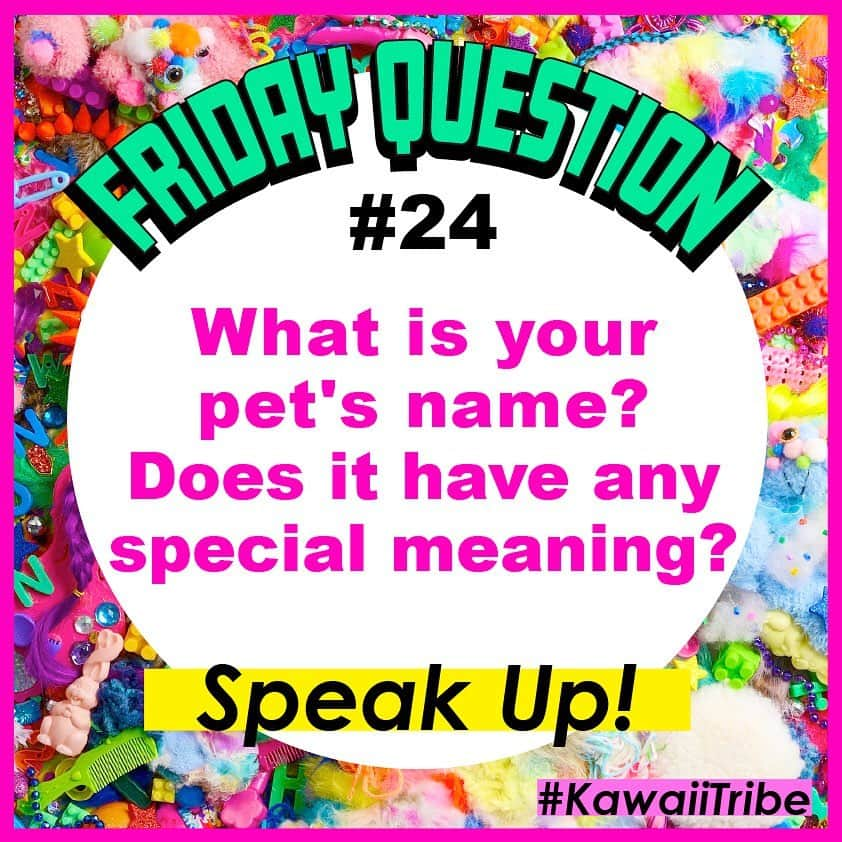 増田セバスチャンさんのインスタグラム写真 - (増田セバスチャンInstagram)「Friday Question #24 What is your pet's name?Does it have any special meaning? あなたのペットの名前はなんですか？名前の由来は？ ・・・・・・ Every week we will ask a new question about your Kawaii Journey! Post a photo to your social media answering the question with #KAWAIITRIBE to share your answer with the world! (Or just answer to this post also great.)  毎週私たちはKawaiiにまつわる質問を投げかけています。あなたの答えと共に写真をSNSに投稿したり、答えをコメントしてくれるだけでも嬉しいです。日本語でもOKです！写真を投稿する場合はハッシュタグ #KawaiiTribe をつけてください。  #KawaiiTribe #SpeakUp」10月23日 16時31分 - sebastian_masuda