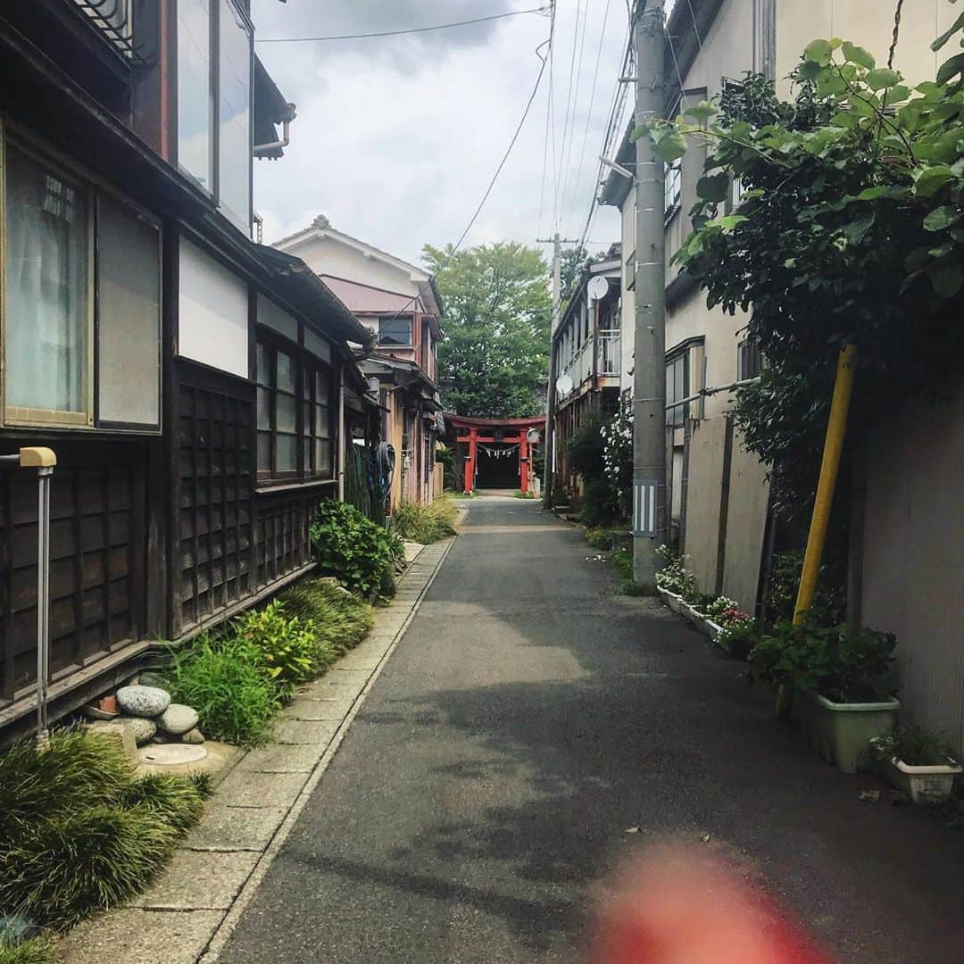 赤谷更紗さんのインスタグラム写真 - (赤谷更紗Instagram)「私の地元が素敵なので せっかくのミスコン期間中に載せさせてください . 田舎は何もありませんが セミの声を聞きながら日差しを浴びて 何もないなりにその空間に素敵な風が通って そこを友達と毎朝自転車で笑いながら駆け抜けるだけで それが思い出になります . #おいでやす鶴岡　#ポエムっぽくなった」10月23日 22時19分 - tgu_miss201