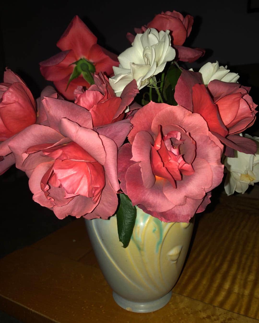 メアリー・マクドネルのインスタグラム：「and then there is this. take a second , look and breathe . you can actually feel the scent of roses. not just smell but feel..#selfcare #goeasyonyourself」