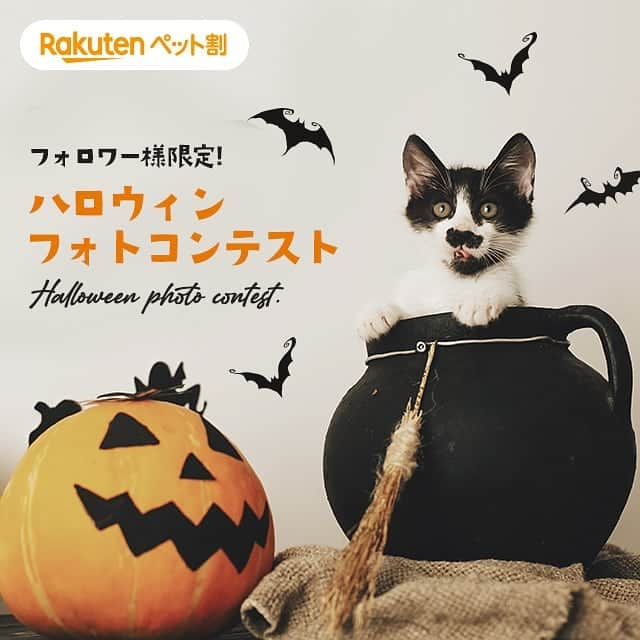 【公式】楽天ペット割のインスタグラム：「.⁣ 🐶フォロワー様限定フォトコンテスト🐱⁣ 11月2日(月)09:59まで♪かわいい衣装を身にまとったうちのこ自慢をして、 ステキな商品をゲットしませんか。 ＼プレゼント／⁣ 🎁　猫柄　温泉用バッグ 🎁　名入れキーホルダー　プードル柄 ⁣ 楽天ペット割では、ペットのハロウィン写真・動画を募集しています！⁣ かわいく仮装したペット、ハロウィンにちなんだ写真や動画など、⁣ 皆さんのご応募をお待ちしています✨⁣ ⁣ ⁣ 【参加方法】⁣ ① @rakuten_petwari をフォロー⁣ ② #rハロウィン のハッシュタグをつけてペットのハロウィンコスプレ写真をInstagramに投稿していること。⁣ ⁣ 【期間】⁣ 2020年9月1日(火)10:00～ 2020年11月2日(月)09:59⁣ .⁣ 【当選者数と賞品】⁣ 💠猫優秀賞　3名様　猫柄　温泉用バッグhttps://item.rakuten.co.jp/osyarehime/56558902/  💠犬優秀賞　3名様　 名入れキーホルダー　プードル柄 https://item.rakuten.co.jp/nico-web/sl1400/  ※入賞された方には、発表時のダイレクトメッセージにて、確認させていただきます。⁣ ⁣ .⁣ 【入賞者発表】⁣ 発表11月9日(月)頃を予定しております。⁣ ・入賞された方には、ご応募いただいたInstagramアカウントに@rakuten_petwari より、2020年11月中旬頃、ダイレクトメッセージでご連絡いたします。⁣ ※当選に関わるお問い合わせには、一切お答えいたしかねますので、ご了承ください。⁣ ⁣ ＜ご注意＞⁣ ＊フォロワー様、かつ国内にお住まいの方限定です。⁣ ＊すでにフォローされている方も参加可能です。⁣ ＊入賞者に選ばれた場合楽天会員アカウントが必要となります。会員でない方は楽天会員登録をお願いします。⁣ ＊ #rハロウィン のハッシュタグと共に投稿された画像は、当社が運営するキャンペーンページにも自動的に掲載されます。⁣ ＊応募作品の撮影時期は問いません。投稿は一人何回でも可能です。⁣ ＊投稿内容について当社は、当社の広報宣伝・プロモーションの目的で、当社Webページのほか、インターネット（SNSを含む）、テレビCM、新聞、雑誌、カタログ・チラシ等の各種印刷物、イベント展示等、各種媒体において無償で利用できるものとします。またその際当社は投稿内容を自由に複製および加工・編集（トリミングや、他の素材と組み合わせて使用することを含む）できるものとします。⁣ ＊当社は、本キャンペーンへの応募により応募者および第三者に生じたトラブルや損害（直接・間接を問いません）等について一切の責任を負いかねます。⁣ ＊ #rハロウィン のハッシュタグをつけた投稿についてはすべて、これらの注意事項に同意されたものとみなします。⁣ ＊アカウント非公開・ハッシュタグがついていない投稿は、応募対象外となります。⁣ ＊やむを得ない事情により、賞品は予告なく変更となることがあります。⁣ ＊通信の際の接続トラブルにつきましては責任を負いかねますので、予めご了承ください。⁣ ＊インスタグラムの仕様/運用に伴い、本サービスの一部またはすべてを事前に通知することなく変更・中断あるいは中止または終了する場合がございます。⁣ ＊キャンペーンへの接続にかかる費用につきましては利用者ご自身の負担となります。⁣ ＊当社は事前に通知することなく、このサイトの内容および本キャンペーン概要、利用規約を変更することがございますので、予めご了承ください。⁣ プライバシーポリシーについては、https://privacy.rakuten.co.jp/ をご確認ください。⁣ たくさんのご応募お待ちしております！⁣ ⁣ #楽天ペット割 #rakutenpet #rハロウィン #プレゼント企画 #フォトコンテスト #犬スタグラム #犬好きさんと繋がりたい #犬 #dog #instadog #dogstagram #doglover #ふわもこ部 #ふわもこ部ワンコ #ねこ #ネコ #cat #猫 #catstagram #neko #ねこ部 #にゃんすたぐらむ」