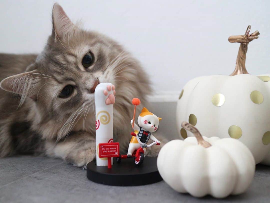 nocoaのインスタグラム：「． ロイロイ興味津々😂👏 ． 私が愛用してる「CATISSねこ手リップクリーム」、ハロウィン限定👻恐怖フィギュア&リップクリームセットの抽選キャンペーンがやってるよ🎃  にゃんこがホラー映画のコスプレをしてて可愛い😍  👻13日の金曜日_黒ねこのジェイソン(レギュラー /無香料)   🎃ソウ_三毛ねこのジグソウ(いちご)   😈リング_牛柄ねこの貞子(バニラ)   抽選キャンペーンに参加して可愛いにゃんこを連れて帰りましょう🤤💕  ●参加方法● ① catissのInstagram公式アカウント @catiss.jp の当キャンペーン投稿に「いいね」を押す。 ② その投稿に「catiss恐怖フィギュアセットが欲しい」とコメントする。 ③ 10/28に抽選で3名の当選者が選出されます。   🎃キャンペーン期間：10/23~10/27の23:59まで ． ． #ロイサラ成長記録」