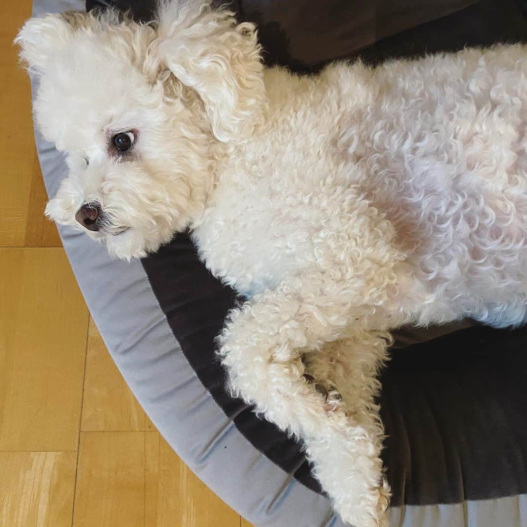 パク・シウンのインスタグラム：「#진토르 🤍 #미르오빠 #이렇게예쁠거야~~~😘」