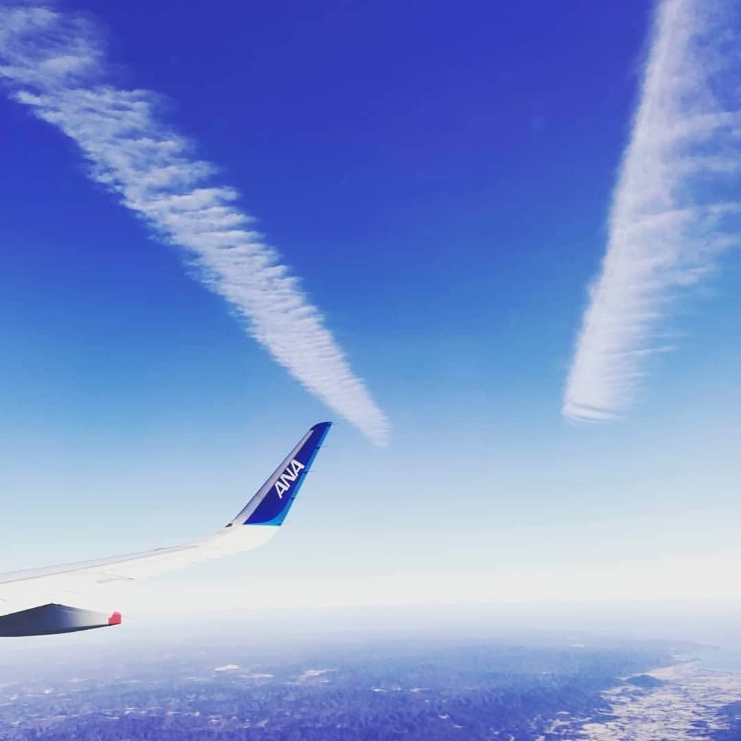 ANAさんのインスタグラム写真 - (ANAInstagram)「青空をキャンバスにして✈️﻿ (Photo：@haru18peach）﻿ ﻿ #白い雲 #描くライン #グラデーションの空 #anaブルー #清々しい #青空 #深呼吸して #リフレッシュ #雲 #上空 #機窓 #機窓写真 #ウイングレット #翼 #青い翼 #窓の外の景色 #窓の外を見るのが好き #青空が好きな人とつながりたい #ソラマニ_マドカラ #refresh #bluesky #clouds #window #wing #flight #anablue #anaairplane #camera #ana_jp ﻿ ﻿ 機窓からの風景は「#ソラマニ_マドカラ」をつけて投稿してね📷インスタやANAの各メディアでご紹介していきます💙」10月23日 17時36分 - ana.japan