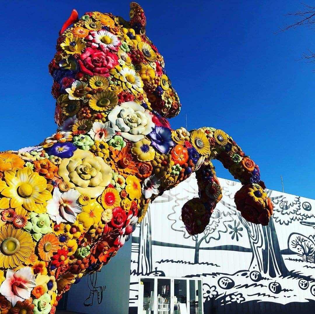 JALさんのインスタグラム写真 - (JALInstagram)「. You will be captivated by the horse sculptures covered with colorful flowers at the Towada Art Center. #UncommonOctober  外も中もアートであふれる #十和田市現代美術館 🎨 色とりどりの花で覆われた馬のオブジェに目を奪われます🐎 . . Photo by @laughinoooplace Post your memories with #FlyJAL  #JapanAirlines #japan #aomori #art_of_japan_」10月23日 17時37分 - japanairlines_jal