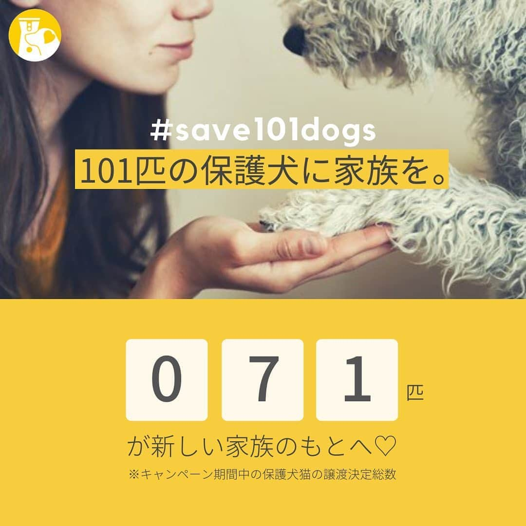 Furbo ドッグカメラさんのインスタグラム写真 - (Furbo ドッグカメラInstagram)「【✨ #save101dogs 進捗報告✨】⁠⠀ ⁠⠀ 保護犬猫の愛護を推進する #save101dogs キャンペーンの進捗状況を皆さんにご報告いたします🙌⁠⠀ ⁠⠀ 現時点で合計71匹*の保護犬猫ちゃんたちに新しいご家族ができました！🐶💓🐱⁠⠀ *キャンペーン期間中の保護犬猫の譲渡決定総数⁠⠀ ⁠⠀ 皆さまのおかげで、着実に目標数へと近づいております！⁠⠀ ご協力誠にありがとうございます🙇🏻‍♀️⁠⠀ ⁠⠀ OMUSUBIさんのアカウントでは、日々 #オンラインお結び会 の情報が更新されています！✨⁠⠀ 保護犬猫の迎え入れに関心のある方は、まずは @omusubi_pet をチェックしてみてください♪⁠⠀ ⁠⠀ また、キャンペーンの主旨に賛同してくださる方は、是非ファーボの #save101dogs 関連投稿のシェアをお願いいたします！🥺⁠⠀ ⁠⠀ ↑投稿左下の紙飛行機マークをタップすると、ご自身のストーリーズにシェアができますよ💛⁠⠀ ⁠⠀ ⁠⠀ #save101dogs ⁠⠀ #保護犬 ⁠⠀ #保護犬と暮らそう⁠⠀ #omusubiさとおや部 ⁠⠀ #ファーボ⁠⠀ #Furbo⁠⠀ #ドッグカメラ」10月23日 18時06分 - furbo_japan