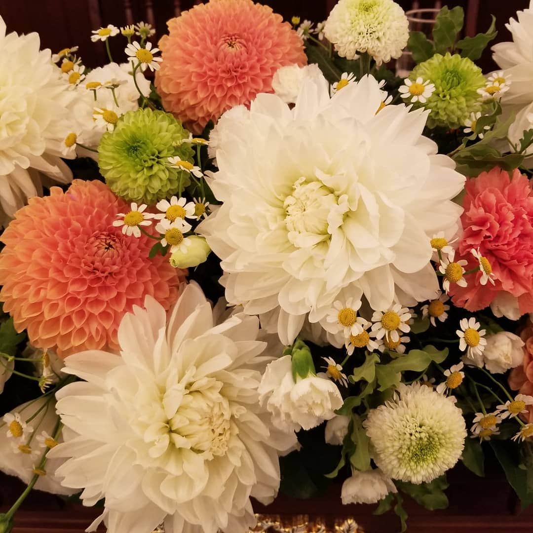 ホテルモントレ大阪 ブライダルサロンさんのインスタグラム写真 - (ホテルモントレ大阪 ブライダルサロンInstagram)「先日、浪明館で披露宴をされたお客様に、ご用意させていただいた装花です。 白をベースにオレンジとグリーン等少し明るい感じですが、ダリヤやピンポンマムが入って、洋和にマッチした装花に仕上がりました！ #白#オレンジ#グリーン#ダリヤ#ピンポンマム#洋装#和装#秋の花#アントス#Anthes#モントレ大阪#梅田#結婚式#プレ花嫁#大阪#ウェディング#アンティーク#ホテル#モントレ#wedding」10月23日 17時58分 - monterey_osaka