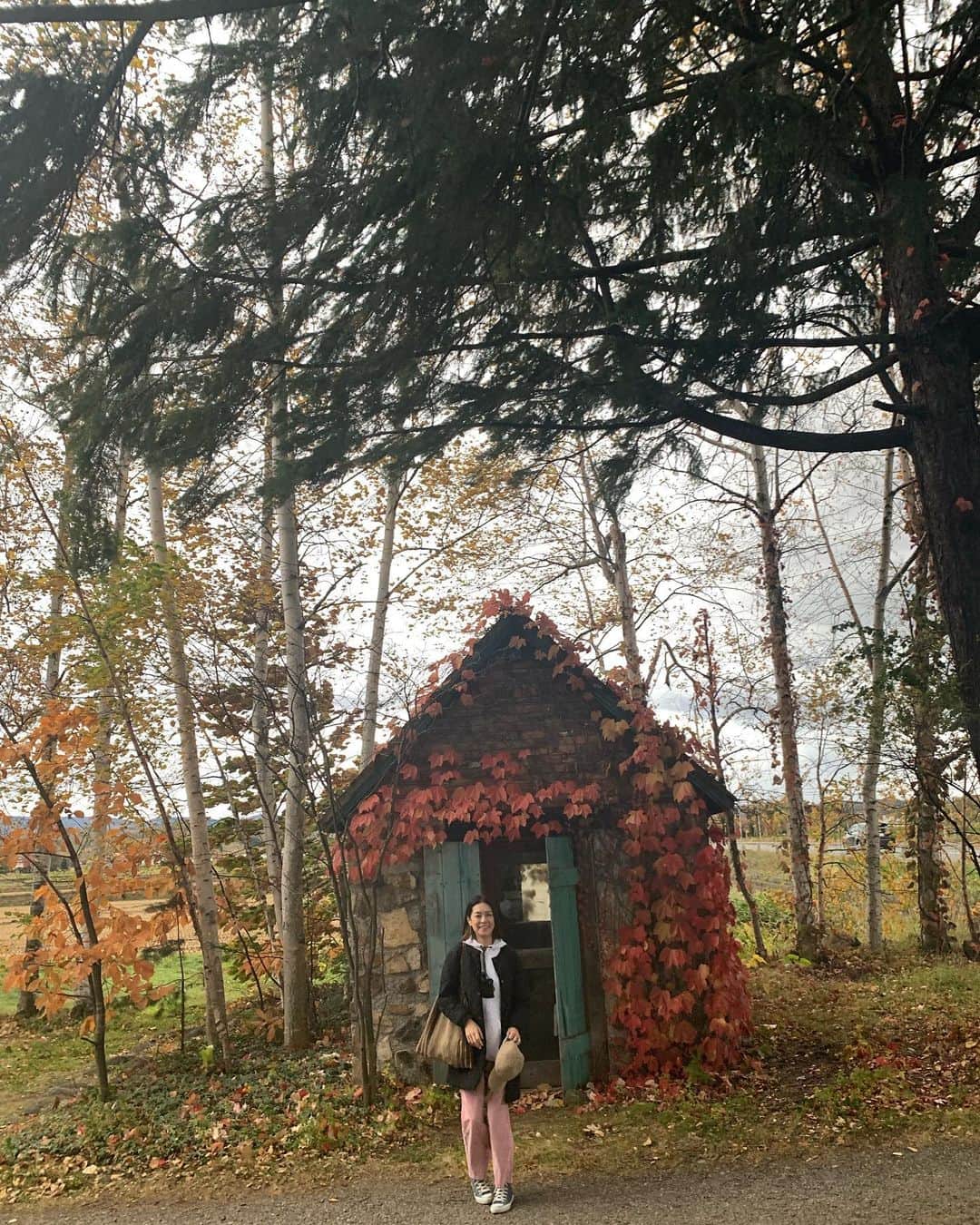 加藤紀子のインスタグラム：「🍄絵本の中のお家のような🐿  　　　🍁🍂」