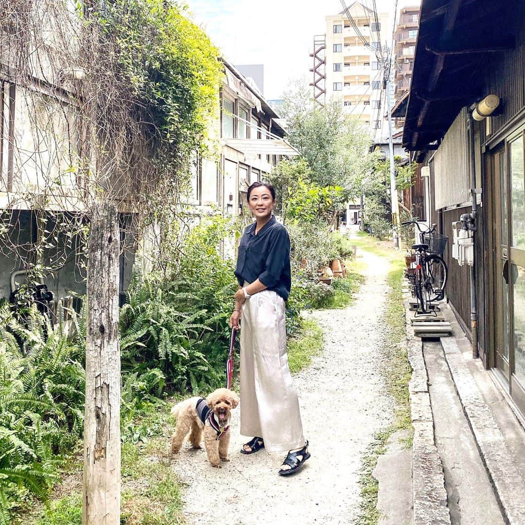 keikobun34さんのインスタグラム写真 - (keikobun34Instagram)「﻿ 少し前の写真。﻿ レイとお出かけした日。﻿ ﻿ すぐ近くはビルが立ち並ぶのに、﻿ 下町の懐かしい雰囲気のある中崎町。﻿ 今と昔の探索が楽しい街⌣̈⃝﻿ ﻿ ノスタルジックな写真が撮れました!!﻿ ﻿ ﻿ #お散歩コーデ#ワンコとお出かけ ﻿ #犬とおでかけ ﻿ #大人カジュアル#シンプルコーデ﻿ #アラフィフ#アラフィフコーデ﻿ #アラフィフファッション﻿ #アラフィフママ #アラフィフモデル﻿ #アラフォー#アラフォーコーデ﻿ #アラフォーファッション﻿ #今日のコーデ﻿ #40代ファッション #40代コーデ﻿」10月23日 18時12分 - keikobun34