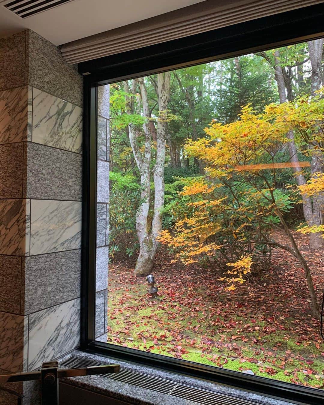 のインスタグラム：「綺麗な色🍂🍁」
