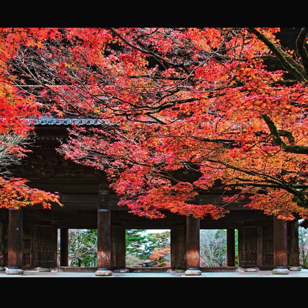 THE WESTIN KYOTO ウェスティン都ホテル京都さんのインスタグラム写真 - (THE WESTIN KYOTO ウェスティン都ホテル京都Instagram)「京都の秋はもうすぐ。 少しずつ秋の気配を感じつつ、紅葉が待ち遠しいこの頃。  ウェスティン都ホテル京都から徒歩圏内の南禅寺の紅葉はとても有名です。 真っ赤にもみじが染まるまで楽しみに待ちたいと思います。  Tag #westinmiyakokyoto to share your images with us!      #インクライン #fushimiinari　#heianshrine #konkaikomyoji　#kiyomizudera #nanzenji　#南禅寺 #kyototravel #kyotogram #visitkyoto #kyotolover #京都好きな人と繋がりたい #京都好き #京都散策 #amazingkyoto #京都観光　#京都の風景 #westinmiyakokyoto #ウェスティン都ホテル京都 #japantravel #tripgramjp_Kyoto #japan_of_insta #icu_japan #都ホテル #miyakohotels #都酒店和度假村」10月23日 18時34分 - westinmiyakokyoto