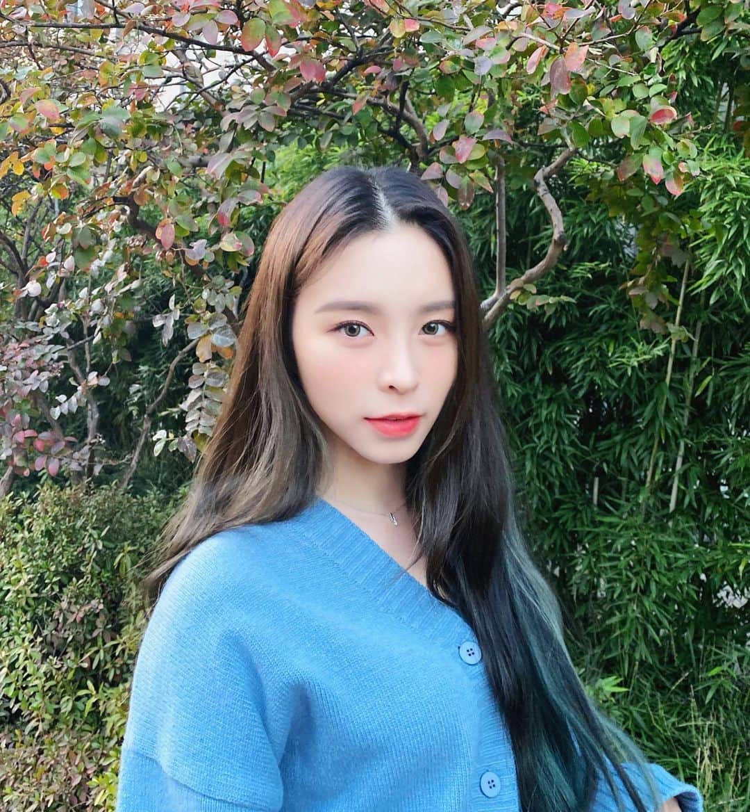 エルキーのインスタグラム：「🦋」