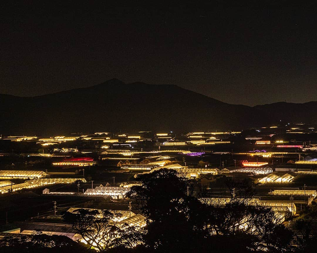 愛知県田原市さんのインスタグラム写真 - (愛知県田原市Instagram)「Fascinated by the world of light!! * 光の世界に心奪われて * #電照菊  #田原 だからこそ見れるこの #絶景！ #1週間の疲れも吹き飛ぶね♪ #若見 の#イルミネーション #夜景 #たはら暮らし #渥美半島#田原市#伊良湖岬#伊良湖#赤羽根 #tahara#irago#akabane#サーフィン#surfing#田舎暮らし#日々の暮らし #休日の過ごし方#スローライフ」10月23日 19時33分 - tahara_kurashi