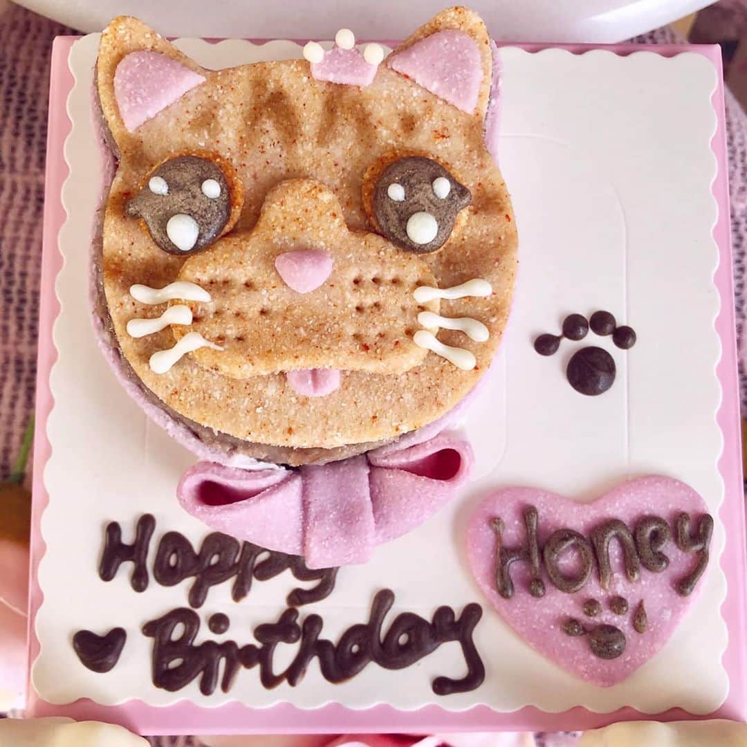 Aww Clubさんのインスタグラム写真 - (Aww ClubInstagram)「Normal people do this for their child’s first birthday, right?  📷@princesshoneybelle  #meowed #princesshoneybelle #happybirthday」10月23日 19時52分 - meowed