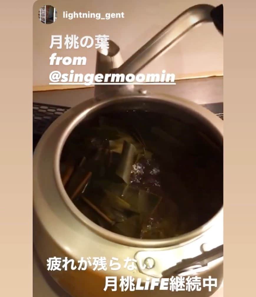 MOOMINのインスタグラム：「明日は月桃さんに会いに行こうかな、、  月桃の花言葉は 「爽やかな愛」です  #月桃ライフ #幸せにしたい #幸せを感じたい #爽やかな愛 #ご注文お待ちしてます😊」