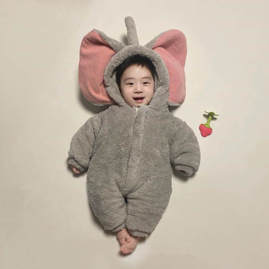 チョ・ミニョンさんのインスタグラム写真 - (チョ・ミニョンInstagram)「아기 코끼리 조유안 ! 뿌우🐘 요즘 장난감이 너무 어려워서 헤매는 새언니랑 꼬모 😵 ⠀⠀⠀⠀⠀⠀ 그래도 완성 후 잘 가지고~~먹는 유안이 😂❤️」10月23日 20時18分 - xxjominxx