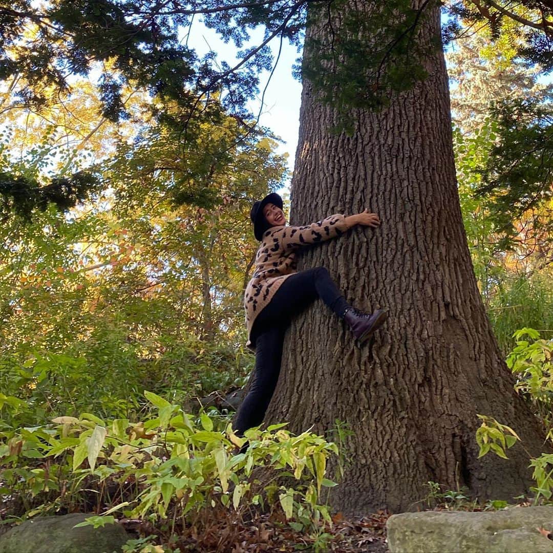 ケイトリン・オズモンドさんのインスタグラム写真 - (ケイトリン・オズモンドInstagram)「Always need to embrace beautiful fall days! #cansomeonebemytree  • • • #falldays #leaves #nature #vitamind #wellnessdays #selflove #treehugger」10月24日 7時26分 - kaetkiss