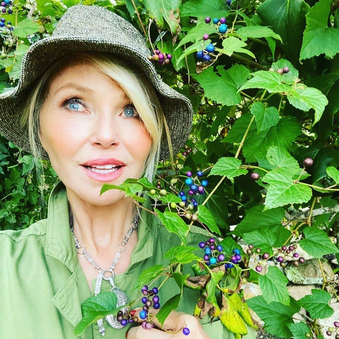 クリスティ・ブリンクリーさんのインスタグラム写真 - (クリスティ・ブリンクリーInstagram)「Hope you are having a BERRY beautiful day my friends! Can you believe that one vine can grow so many different shades of blue and purple? Isn’t nature just something to cherish! Aren’t we so lucky to have such an abundance of flora and fauna to enchant us .. from the underwater world to the clouds above Our planet Earth is a treasure to protect and love! 💚💙」10月24日 6時31分 - christiebrinkley