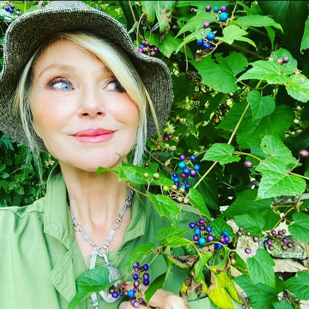 クリスティ・ブリンクリーさんのインスタグラム写真 - (クリスティ・ブリンクリーInstagram)「Hope you are having a BERRY beautiful day my friends! Can you believe that one vine can grow so many different shades of blue and purple? Isn’t nature just something to cherish! Aren’t we so lucky to have such an abundance of flora and fauna to enchant us .. from the underwater world to the clouds above Our planet Earth is a treasure to protect and love! 💚💙」10月24日 6時31分 - christiebrinkley