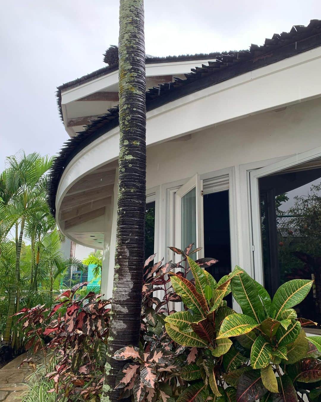 Reiko Lewisさんのインスタグラム写真 - (Reiko LewisInstagram)「Kahala Tennis Guest House New project... It is a big property in the middle of the high-end area in Honolulu, and the property is composed of 3 residential buildings and tennis courts. The owner has a high quality of sense in aesthetics and we are helping her to organize her thoughts as a consultant. A guest room bathroom is the start of the project!  カハラテニスゲストハウス 新規プロジェクト…ホノルルの高級エリアの真ん中にある大きな物件で、3棟の住宅とテニスコートで構成されています。オーナーは美的感覚の質が高く、コンサルタントとして彼女の考えを整理するのをお手伝いしています。客室のバスルームがプロジェクトの始まりです！ #hawaiiinteriordesign #renovation #bathroomdesign #interiorconsultant」10月24日 7時11分 - ventus_design_hawaii