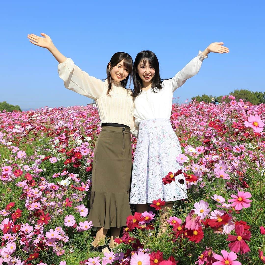 越智萌日さんのインスタグラム写真 - (越智萌日Instagram)「秋の訪れを感じた日🌾 実結(@___mii27 )に久しぶりに会えてたくさん元気もらえた✨ . . . . #万博記念公園  #コスモス　#コスモス畑」10月23日 22時43分 - moeka19990201